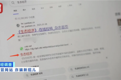 20元就能山寨官网！央视曝光克隆网站黑幕 专家教你如何辨别