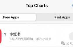TikTok即将被封 歪果仁疯狂涌入小红书：中外网友边互助边搞抽象