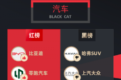 黑猫投诉12月发布：比亚迪零跑广汽占据红榜 哈弗大众特斯拉屈居黑榜
