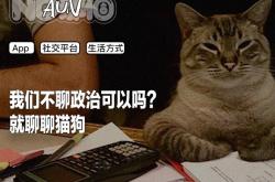 中美网民在小红书接头的48小时