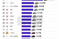 北上广热门车型揭晓！特斯拉Model Y夺得冠军