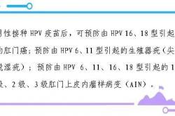男性HPV疫苗，岳西这些地方可打！