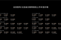 比亚迪智驾价格战背后：一年招了几千人 过年还在赶工