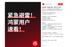 网易云音乐紧急提醒鸿蒙用户：平替版App千万别下 疑藏木马病毒