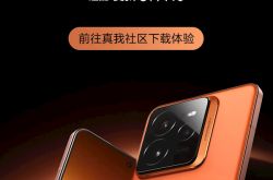 真我GT7 Pro首批适配 Android 16开发者预览版来了