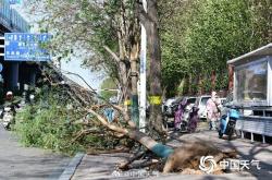 全国近500国家观测站极大风破纪录 还将刮多久