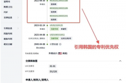 地球都是韩国的！韩国在美国申请饺子外观专利获批 有效期15年