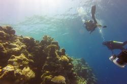 遭遇强大暗流！中国女游客为捞相机命丧87米海底