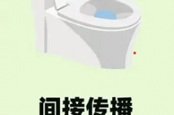 感染hpv的途径都是哪些？几率大吗？