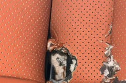一个悲伤的故事！理想L8车里跑进了只老鼠 几千块的座椅惨遭鼠嘴