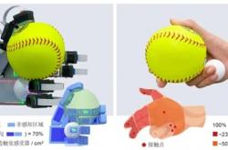 我国仿生手新突破：首次实现类人水平的自适应抓取