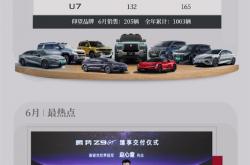 比亚迪6月各车型销量出炉：海鸥狂卖超5万辆 继续称王