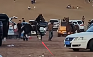 没栓绳的法斗犬景区内咬马致游客坠落：被马飞起一脚踢废