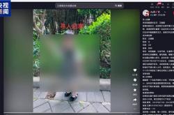 为博取网络关注编造 “2岁女儿被抱走”！发布者被行拘