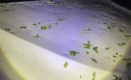 北京冰雹车盖被砸出气泡膜！车主：车玻璃砸碎 车身全是坑