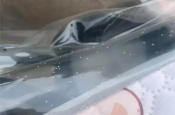 河南多地遭“小白虫”侵袭：成群飞虫影响市民出行