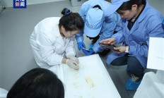 中国空间站第九批实验样品返回并交付科学家：包含四只太空小鼠