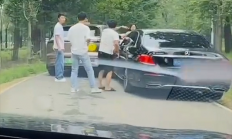 野生动物园里两车剐蹭多人下车争论：两只白虎一旁强势围观