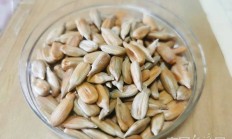 过年常备！这种瓜子有毒，吃到千万吐出来