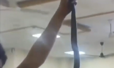 印度男子被毒蛇咬伤 直接带着蛇一同就医：捡回一条命