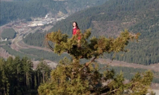 奇女子在一棵55米高的红杉树上住了738天