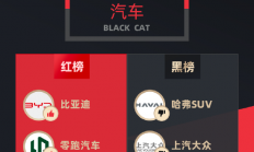 黑猫投诉12月发布：比亚迪零跑广汽占据红榜 哈弗大众特斯拉屈居黑榜