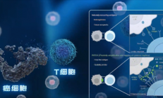 中科院开发出“纳米机器人”：给癌细胞贴通缉令 精准打击