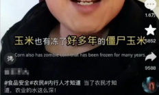 包装玉米是“僵尸玉米”吗? 这些真相 你一定要知道