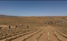奇迹！宁夏成功完成腾格里沙漠锁边：中国第四大沙漠
