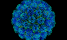 远离肺癌、肝癌等5种高发癌症 从小习惯开始！赶紧告诉家人