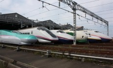 日本频繁上演“熊出没” 新干线列车撞熊停运40分钟