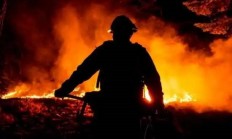 美国山火能自己改道 洛杉矶富人区无恙