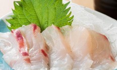 宁可少吃鱼肉猪肉，也要多吃白萝卜，营养全面，安稳度过冬天