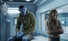 卡梅隆自称最好的一部！《阿凡达3：火与烬》新剧照发布 年底上映