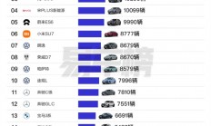 上海人2024年最爱买的车型出炉：特斯拉霸榜前2