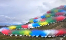 专家称烟花秀可能影响鼠兔：破坏整个食物链