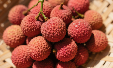 专家：荔枝含糖太高或引发低血糖 警惕“荔枝病”