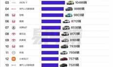 北上广热门车型揭晓！特斯拉Model Y夺得冠军