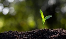 它是隐藏在身体里的能量调节器，你或许从来没听说过这个营养素