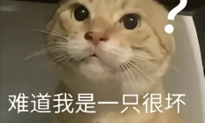 九阳豆浆卖爆了 但哈基米的泼天富贵可能快结束了