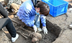 中国最早！河南贾湖遗址发现8000多年前木棺