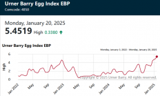 中美网友“小红书对账”背后：美国鸡蛋到底涨到多贵