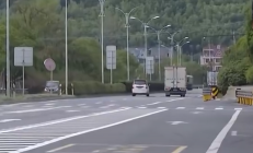 货车撞死狗后二次事故致老人丧命：司机被判次要责任