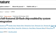 全球首颗！复旦团队成功研发二维-硅基混合架构闪存芯片