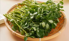 国外评选为最具营养活力的蔬菜：90%的人没吃过