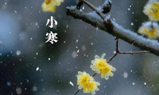 小寒时节如何保健养生