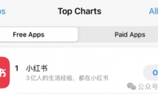 TikTok即将被封 歪果仁疯狂涌入小红书：中外网友边互助边搞抽象