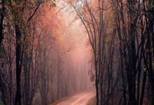 时隔13年 日本将重启该国最大核电站