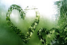 国内一男子开特斯拉狂飙至200码 结果高速撞车