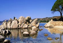 时隔13年 日本将重启该国最大核电站